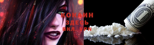 бошки Гусь-Хрустальный