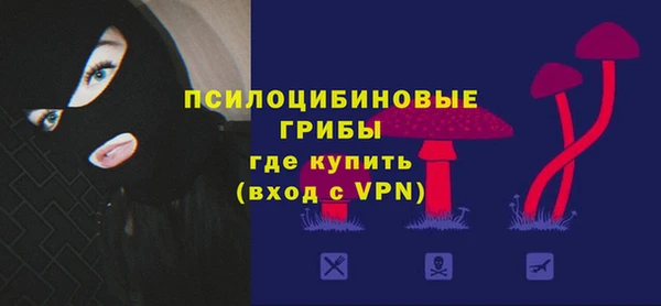 эйфоретик Гусев