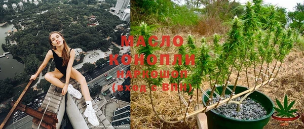 эйфоретик Гусев