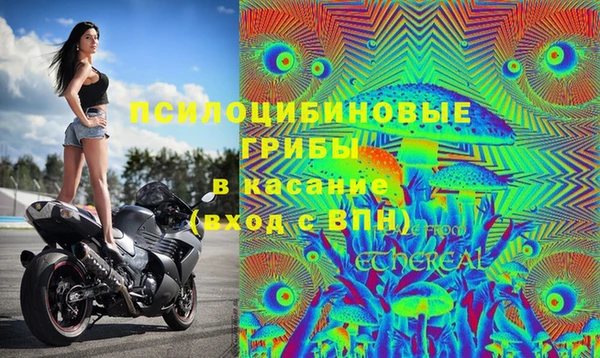 бошки Гусь-Хрустальный
