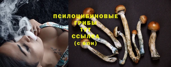 эйфоретик Гусев
