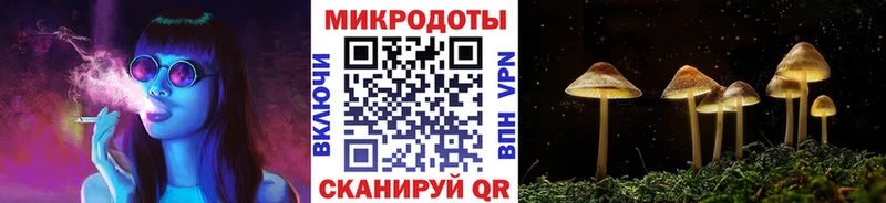 Галлюциногенные грибы GOLDEN TEACHER Купить закладки Скопин